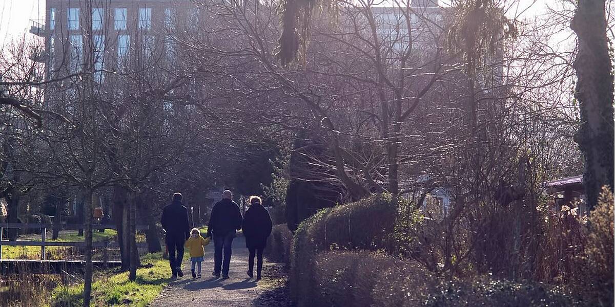 Link naar foto in Flickr: viertal maakt een wandeling in de tuinen van De Driehoek.