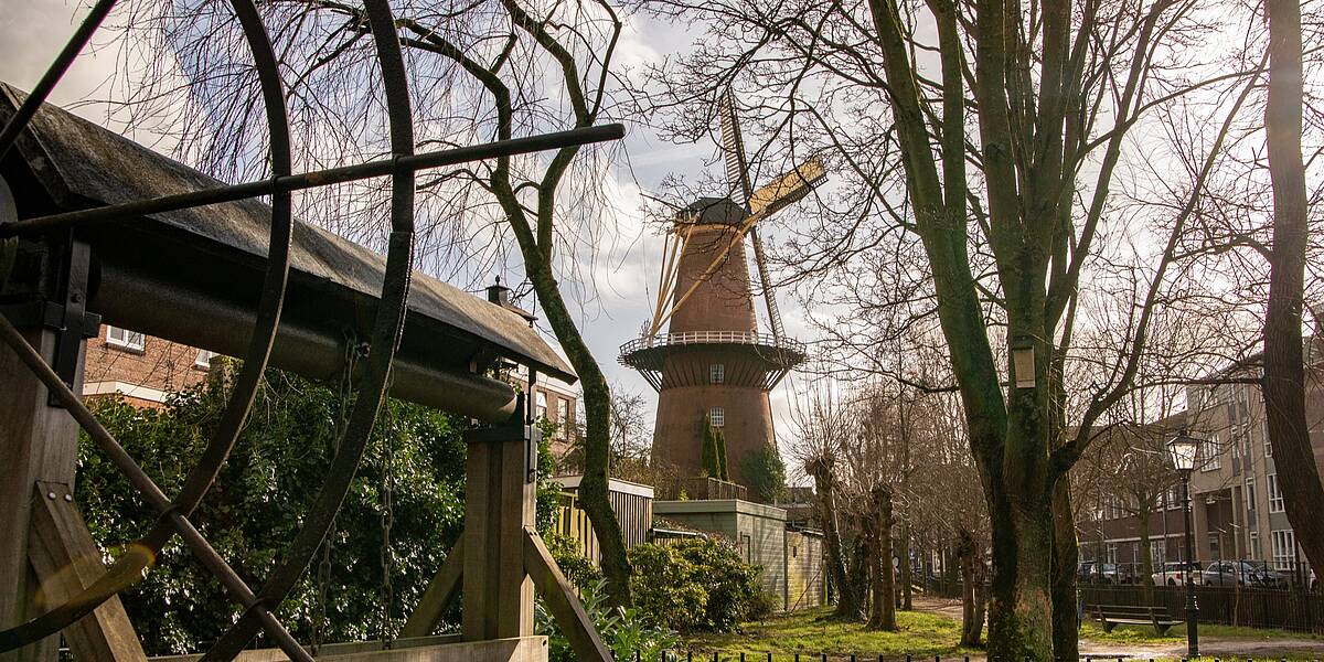 Link naar foto in Flickr: de molen op de Adelaarstraat, bezien vanaf het Zwarte Water. Met op de voorgrond een stukje van het sluiswiel.