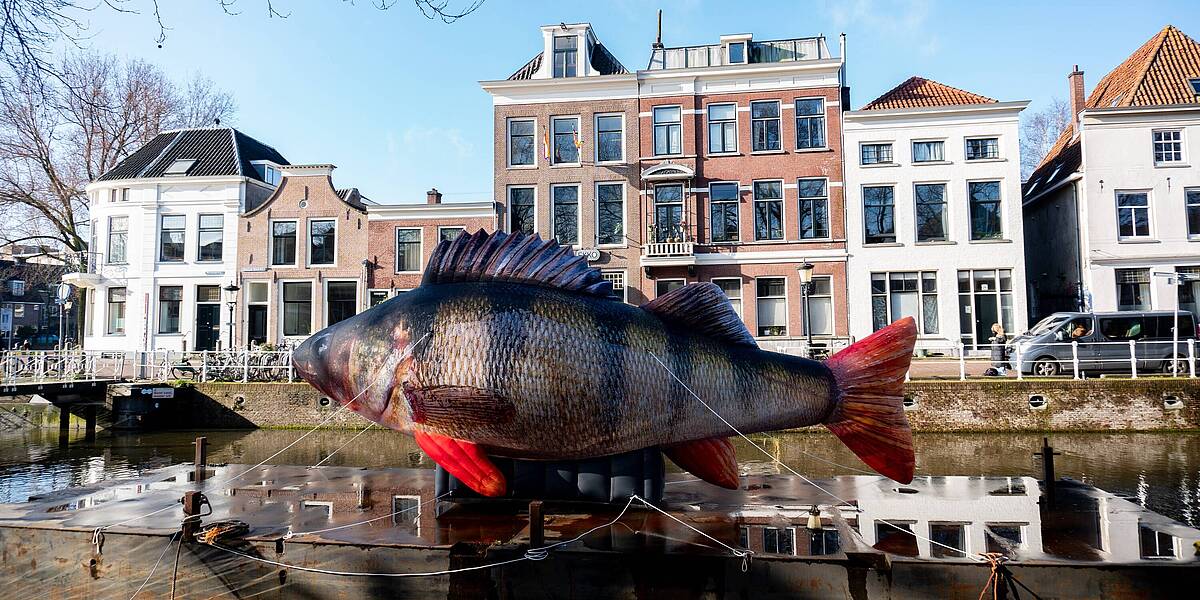 Link naar foto in Flickr: een vis, Barry de Baars, is geplaatst ter gelegenheid van de visdeurbel, die weer aan staat.