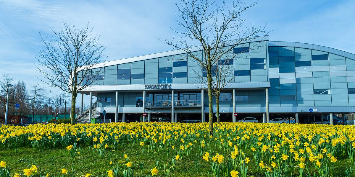 Link naar foto in Flickr: gele narcissen voor het gebouw van Sportcity in Leidsche Rijn. 