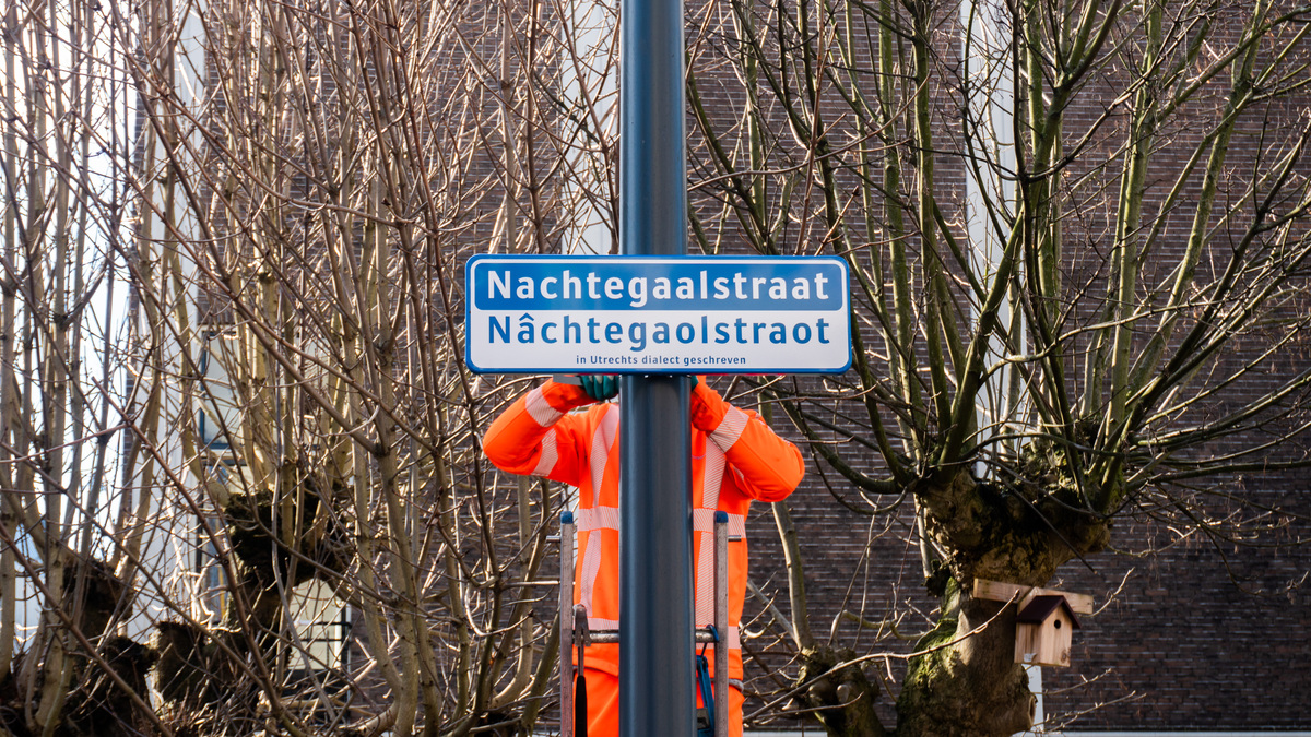 Link naar foto in Flickr: medewerker van de gemeente hangt een straatnaambordje op in de Nachtegaalstraat, geschreven in het Utrechts dialect (Nâchtegaolstraot).