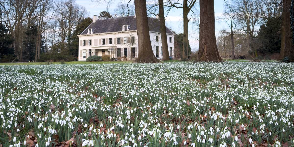 Link naar foto in Flickr: landhuis Amelisweerd met op de voorgrond sneeuwvlokjes.