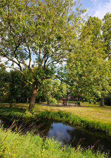 Bomen aan het water in het Vechtzoompark Bomen aan het water in het Vechtzoompark