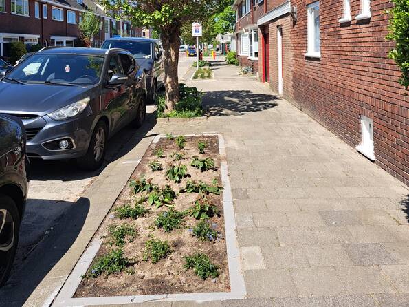 Stoep met een groen plantenvak naast geparkeerde auto's. 