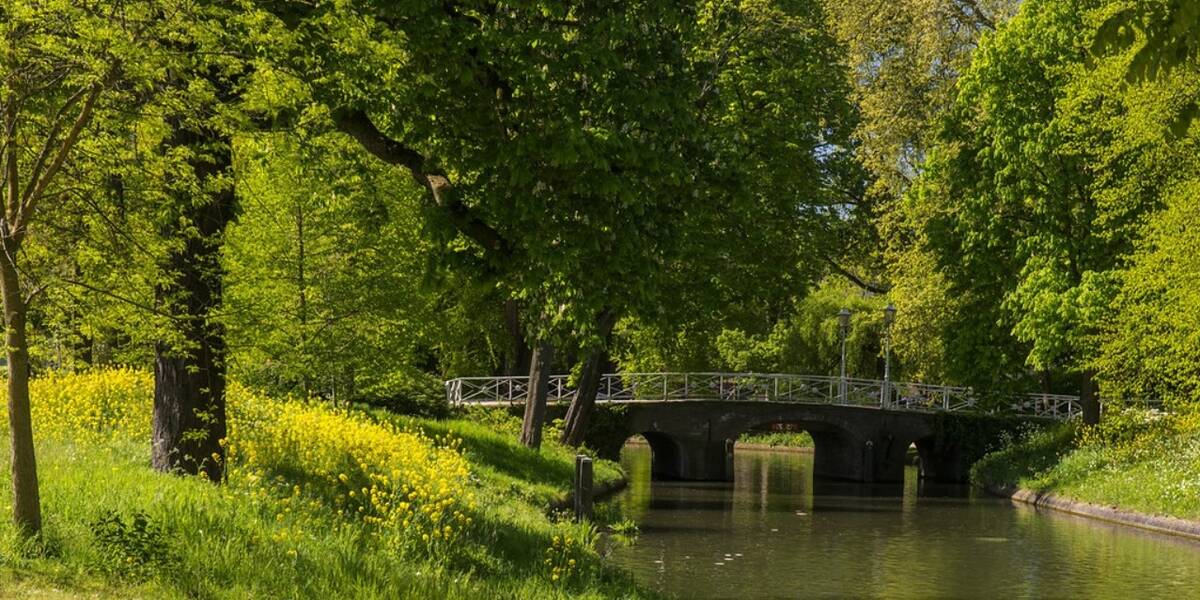 Link naar foto in Flickr: zicht op een brug bij de Maliesingel, omringd door groen van bomen en gras.