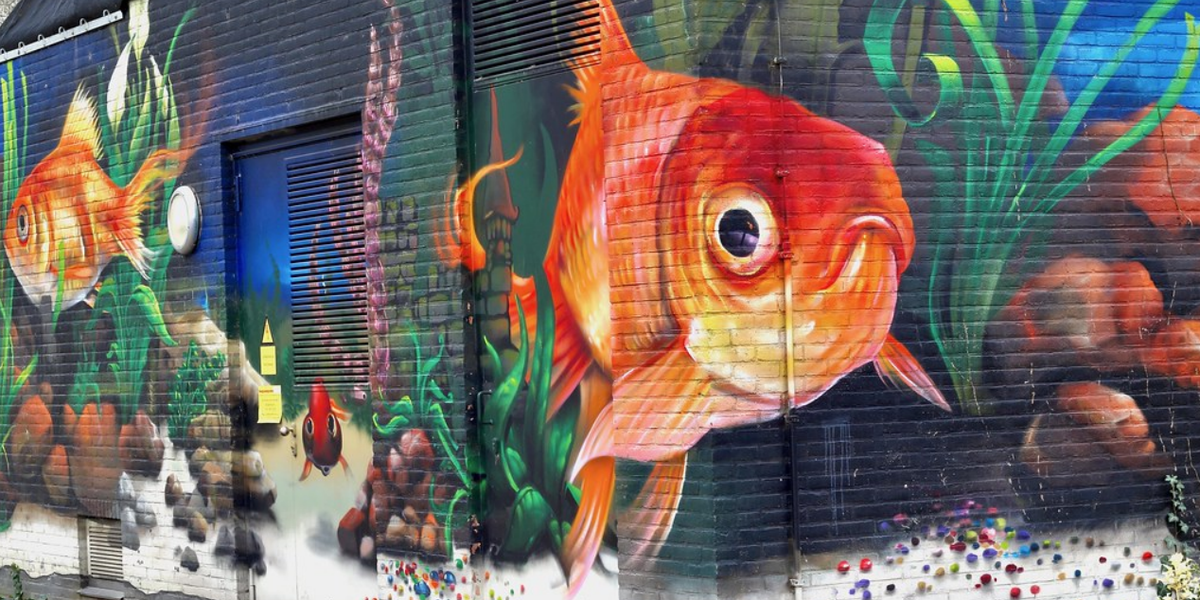 Link naar Flickr.com: muurschildering van goudvissen in het park.