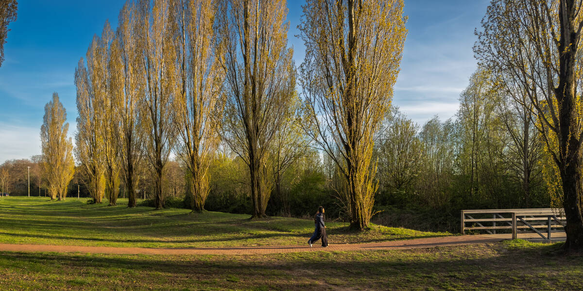 Link naar foto in Flickr: twee mensen loppen tussen de hoge bomen bij Rijnkennemerlaan.
