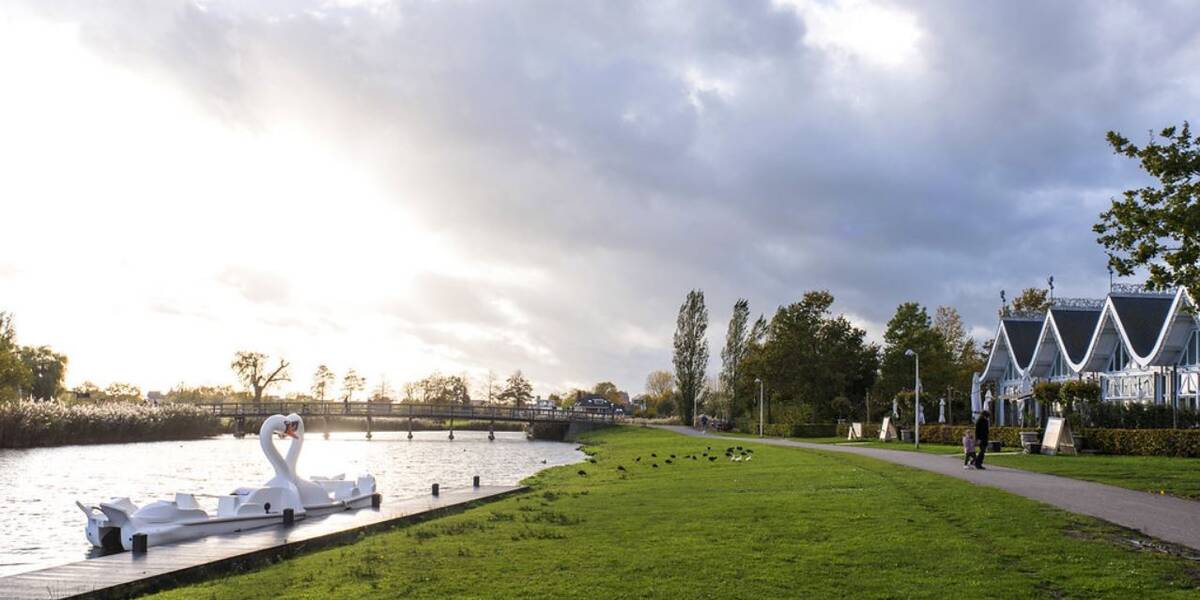 Link naar foto in Flickr: Maximapark, het zonlicht op het water en in het water twee grote beelden van zwanen.