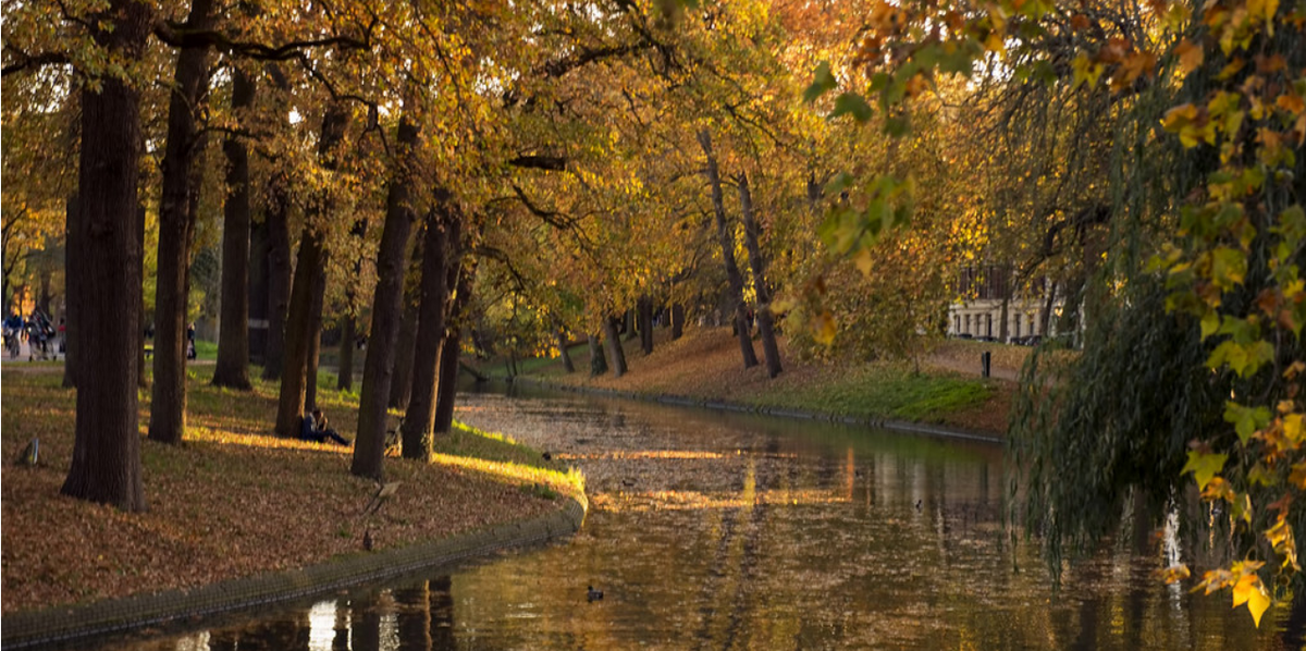 Link naar foto in Flickr: zich op Lepelenburg met de bomen in herfstkleuren naast het water.