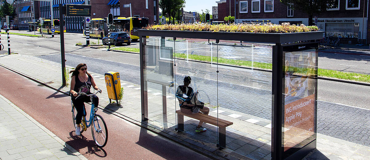 bus stop with green roof