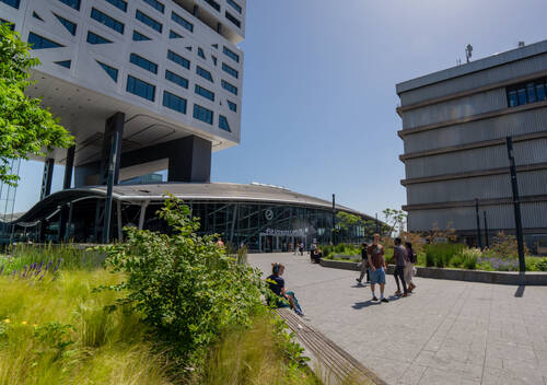Het stationsgebied Het stationsgebied