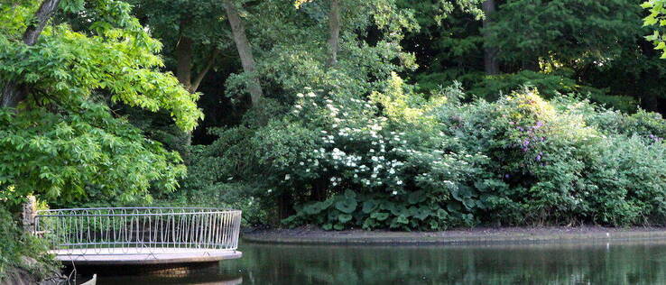 Fontein en vijver in het Julianapark