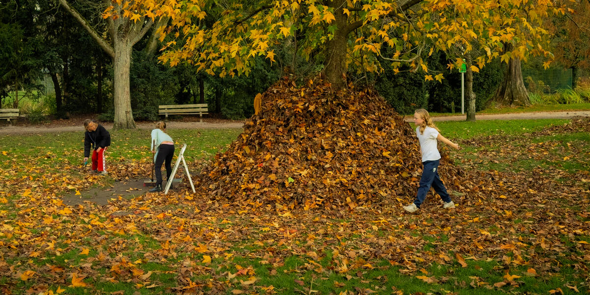 Link naar foto in Flickr: kinderen maken een berg van bladeren in Park Oog in Al.