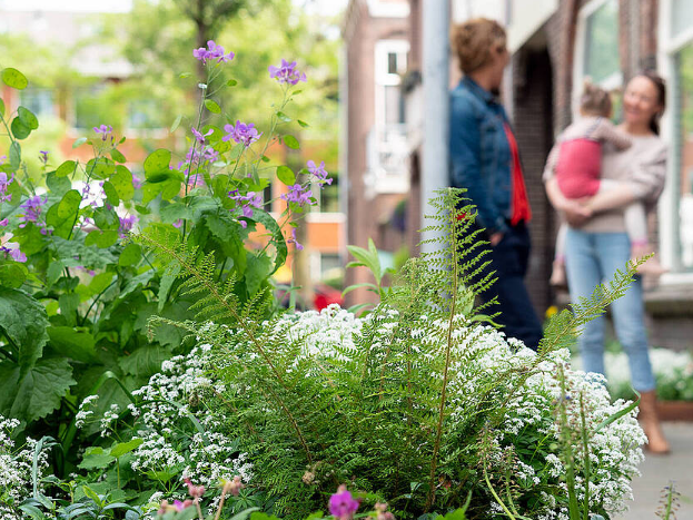 Een groene straat. Op de achtergrond staan inwoners met elkaar te praten.