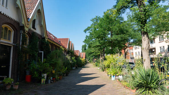 Veeartsenijstraat