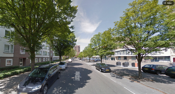 Zo ziet de Livingstonelaan er nu uit: een straat met asfalt.