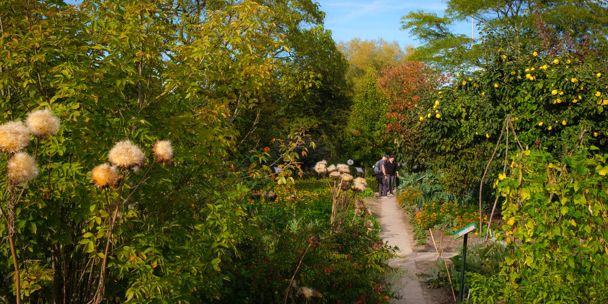 Link naar foto in Flickr: mensen lopen door het groen in de Botanische Tuinen bij Fort Hoofddijk.