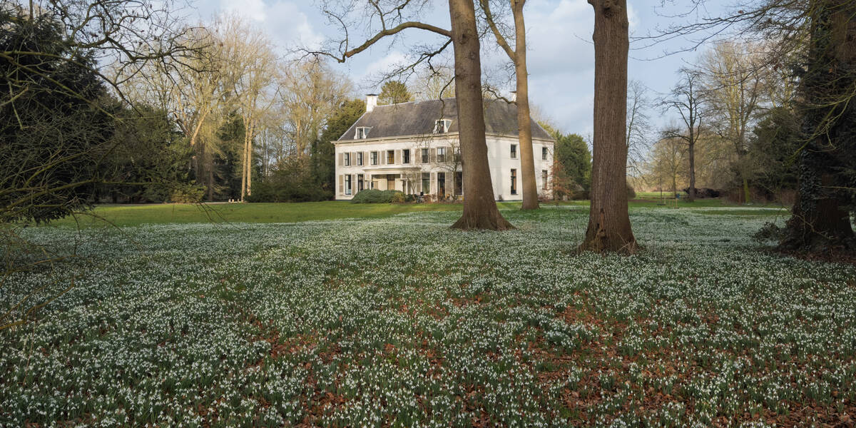 Link naar foto in Flickr: Sneeuwklokjes bij Landhuis Nieuw-Amelisweerd.