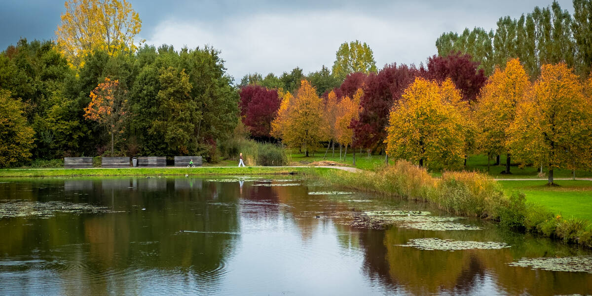 Link naar foto in Flickr: de Lelievijver in het Maximapark omringd door bomen in herfstkleuren.