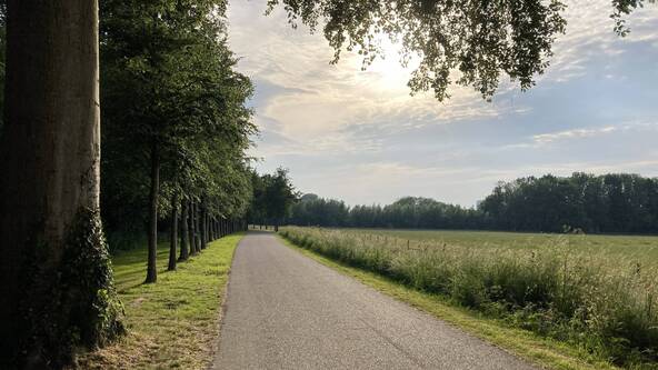 Drukte van fietsers, wandelaars en autoverkeer bij poort StayOkay