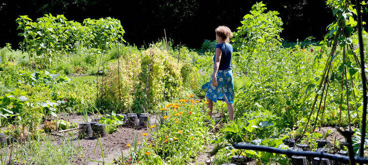 Vrouw in moestuin