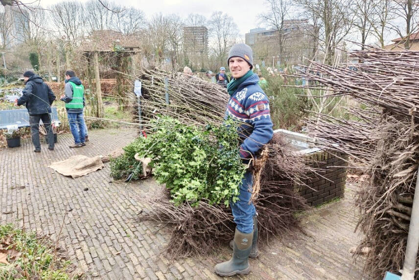 man die zaailingen ophaalt