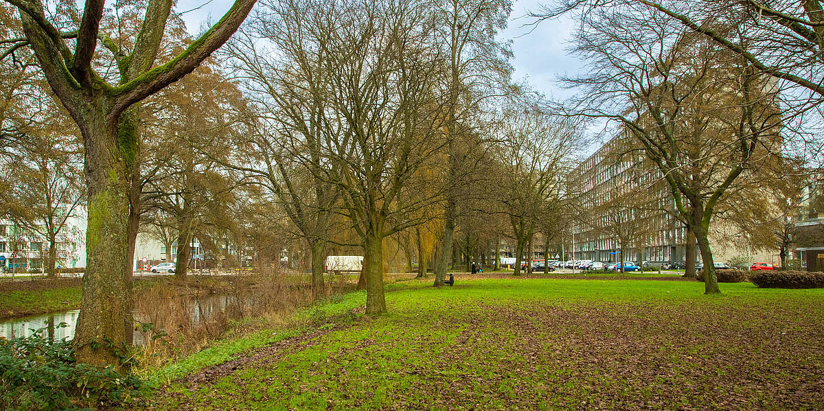 Link naar foto in Flickr: bomen op een grasveldje in Overvecht..
