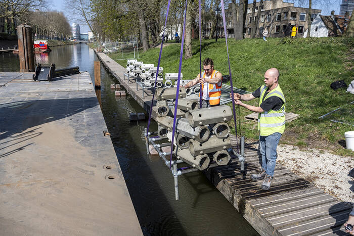 De rifblokken worden in decatharijnesingel geplaatst. Foto van CU2030