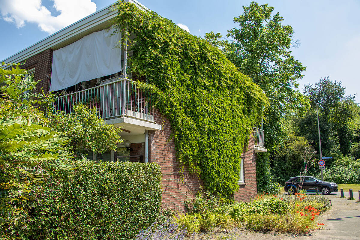 Foto huis met een groene gevels voor verkoeling