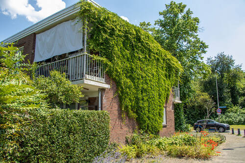 Foto huis met een groene gevels voor verkoeling.