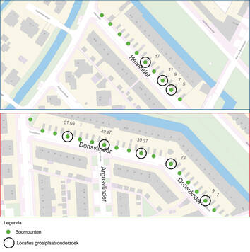 Plattegrond van bomen die onderzocht worden, zie de tekst voor de locaties.