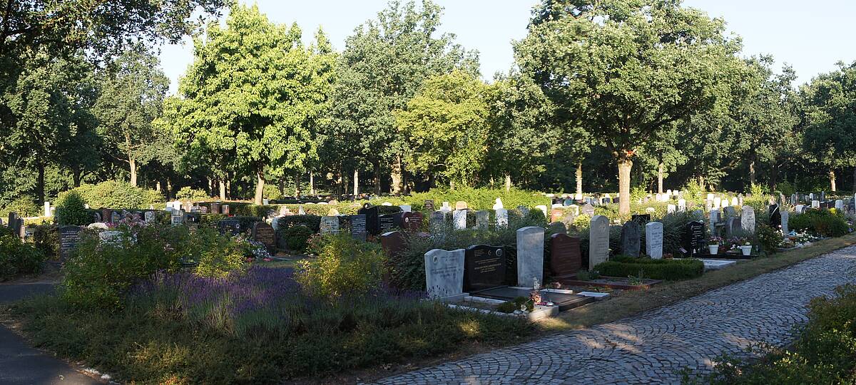 Graven en bomen op begraafplaats Daelwijck