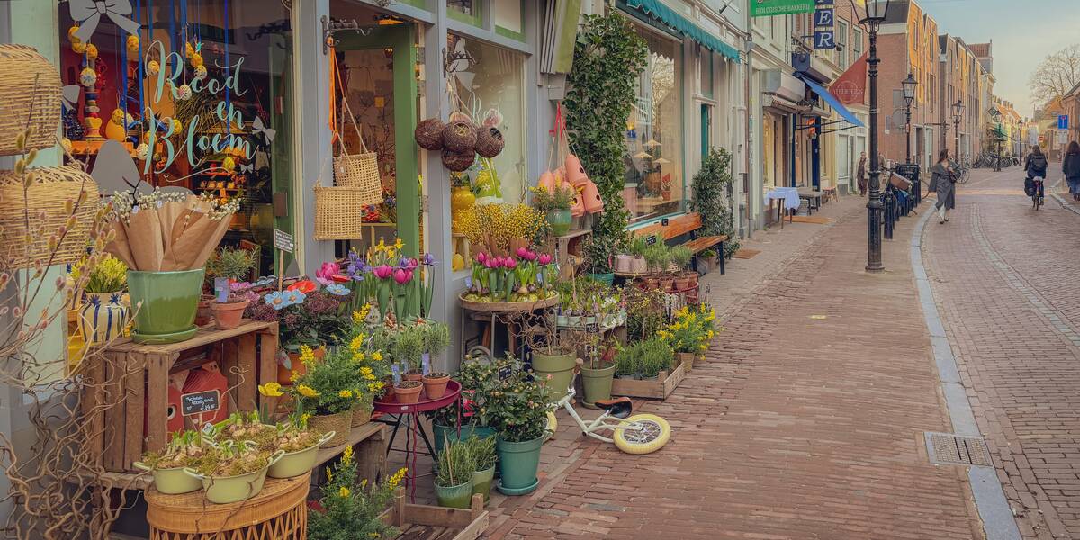 Link naar foto in Flickr: uitgestalde bloemen bij plantenwinkel Rood en Bloem, Springweg.