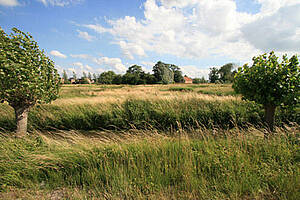 Landschap van De Buitenhof