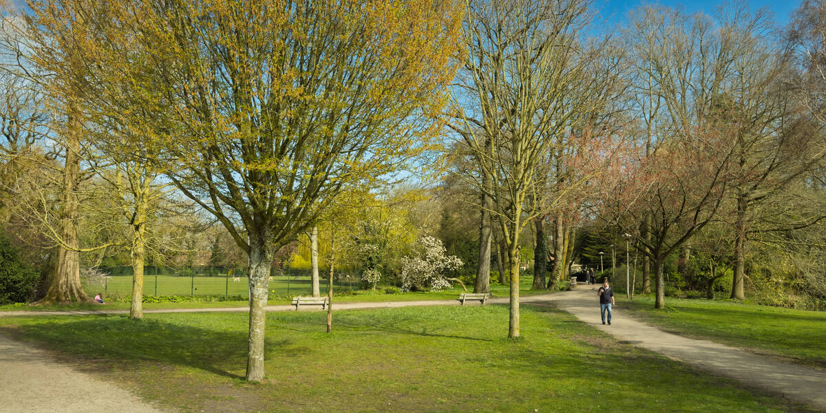 Link naar foto in Flickr: een man loopt door Park Oog in Al.