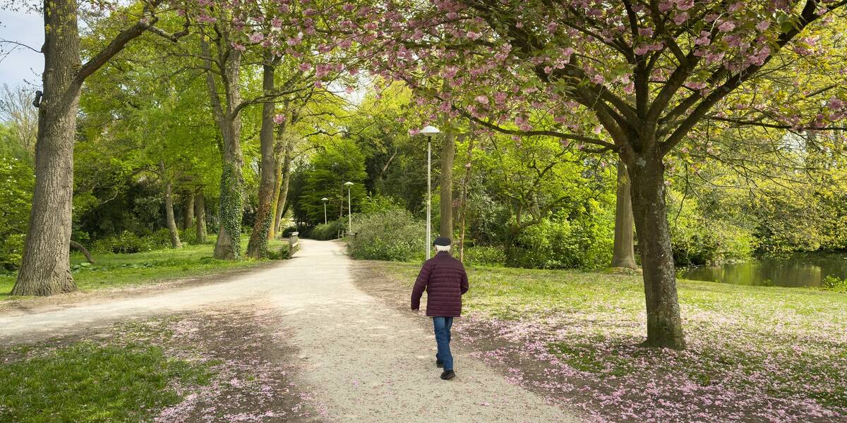 Link naar foto in Flickr: man loopt door Park oog in Al. 