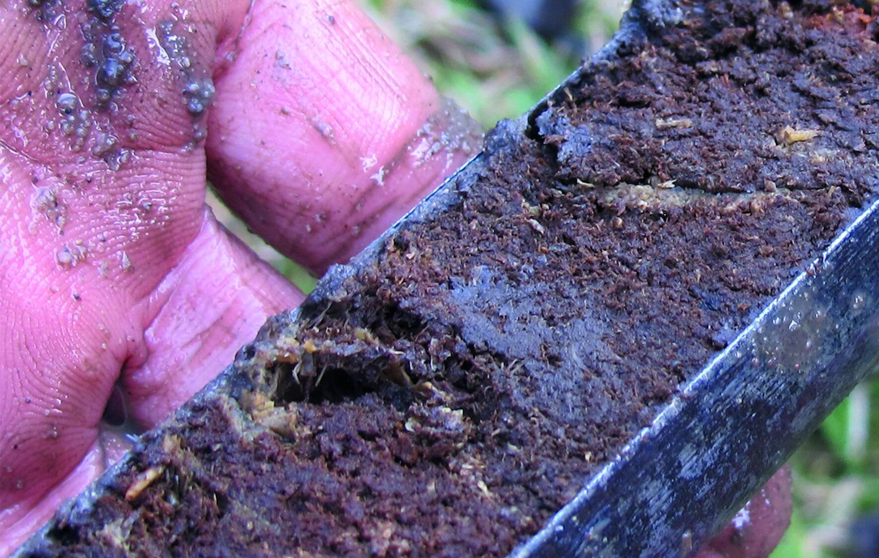 foto van grond uit de grondboring
