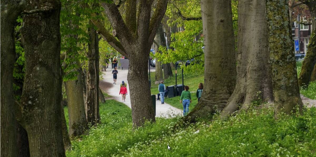Link naar foto in Flickr: mensen lopen in park tussen de bomen langs de Pelmolenweg.