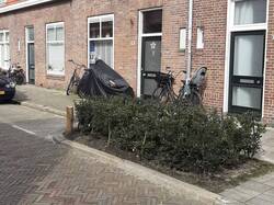 Voorbeeld van een straattuin