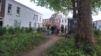 Een plein met veel groen en een zandpad naast bomen.