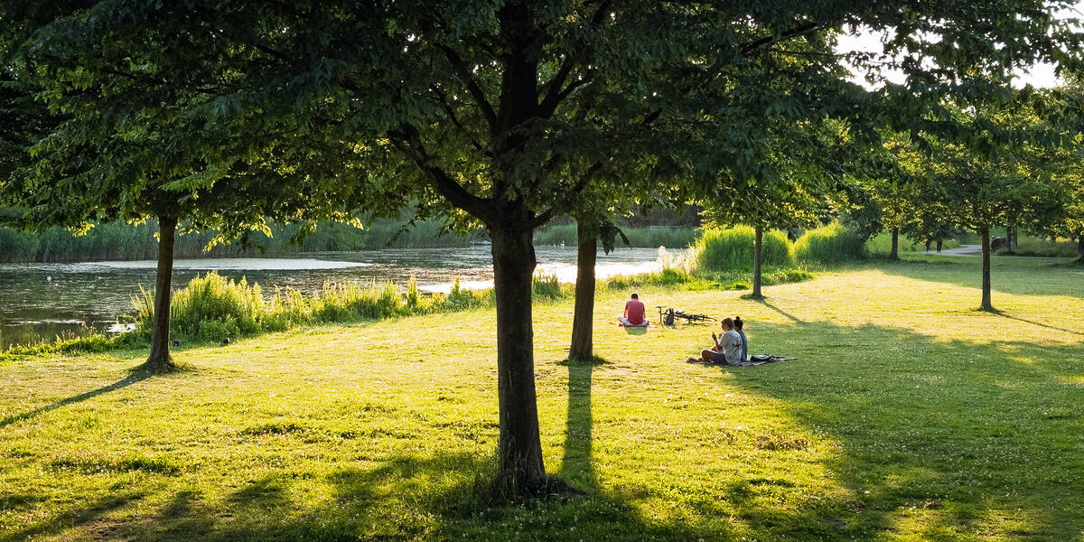 Link naar foto in Flickr: mensen zitten in zon bij de bomen in het Maximapark.