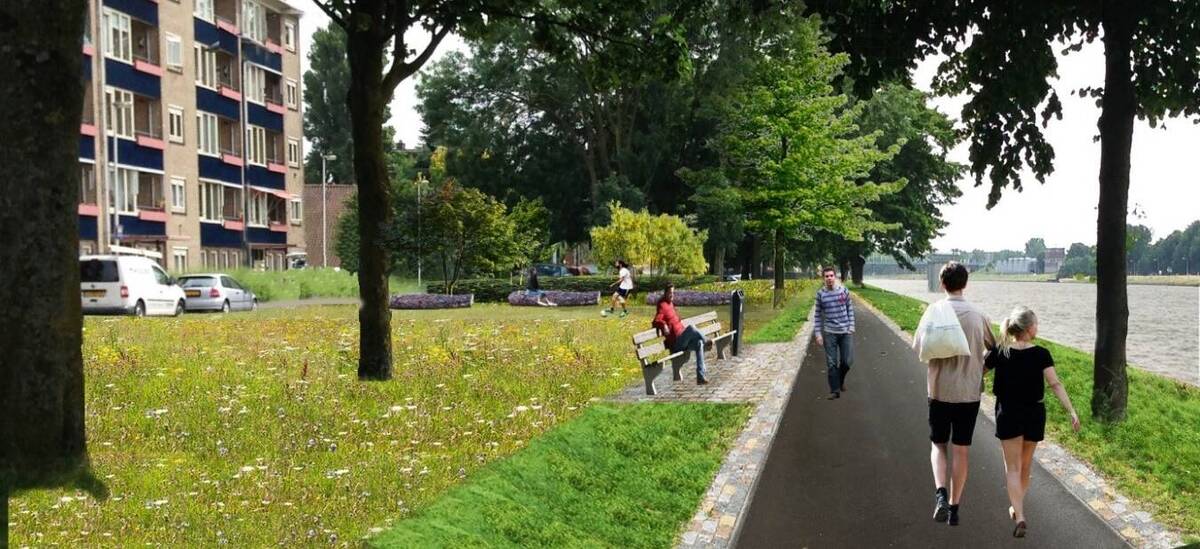vergroot de impressie van de parkstrook