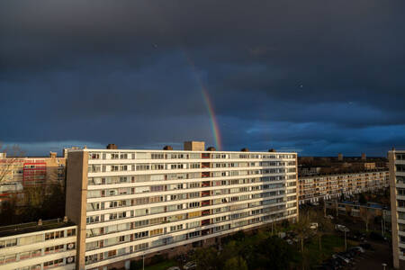 Regenboog over Overvecht