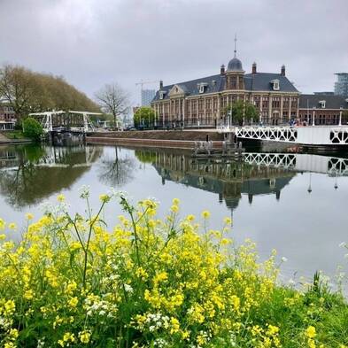 Muntgebouw met op de voorgrond water en gele bloemen