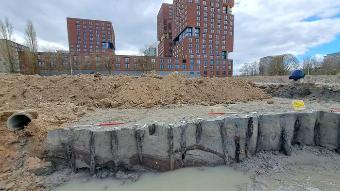 De ingeslagen houten palen langs de Romeinse weg van rond 125