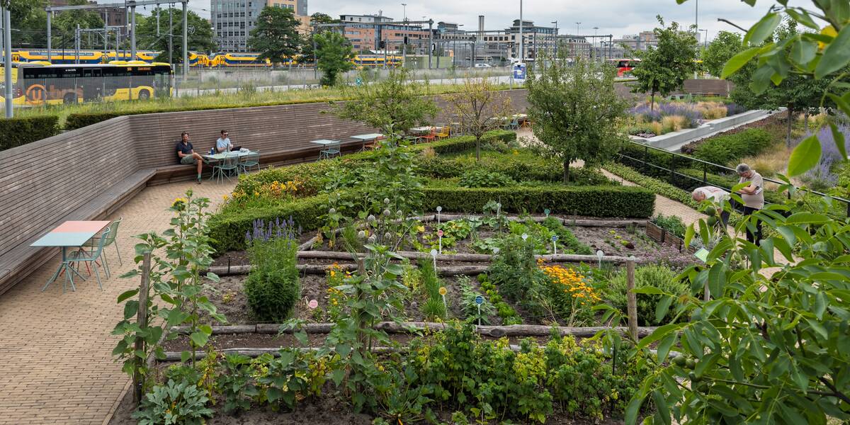 Link naar foto in Flickr: mensen zitten in de Rabotuin tijdens de Open Tuinendag.