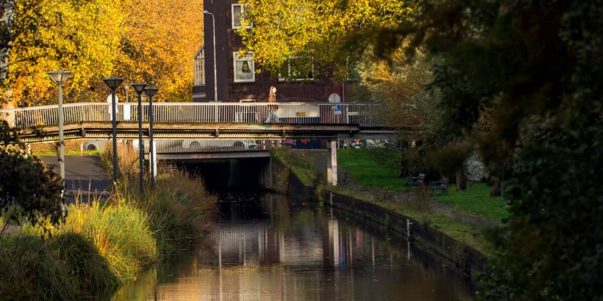 Link naar Flickr: een vrouw loopt over de Voetbrug, omringd door herfstkleurige bomen om haar heen.
