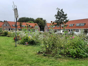 Het Waalstraatplantsoen