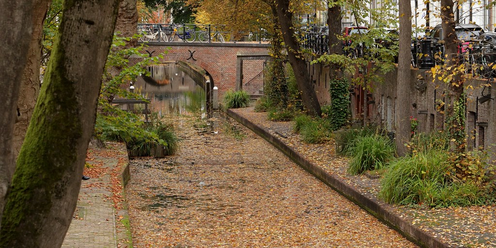 Link naar foto in Flickr: zicht op de Nieuwegracht met bladeren in de gracht.