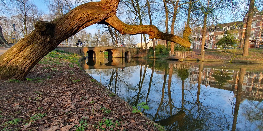Link naar foto in Flickr: zicht op de Maliebrug met een overhangende boom over de singel op de voorgrond.